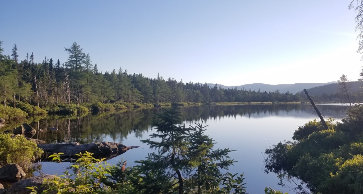 White Mountain Pond